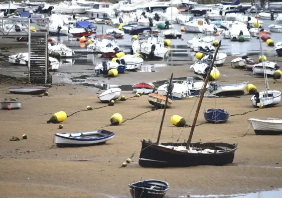 Bizkaia Aretoa: det bedste ved Álvaro Sizas bygning i Bilbao