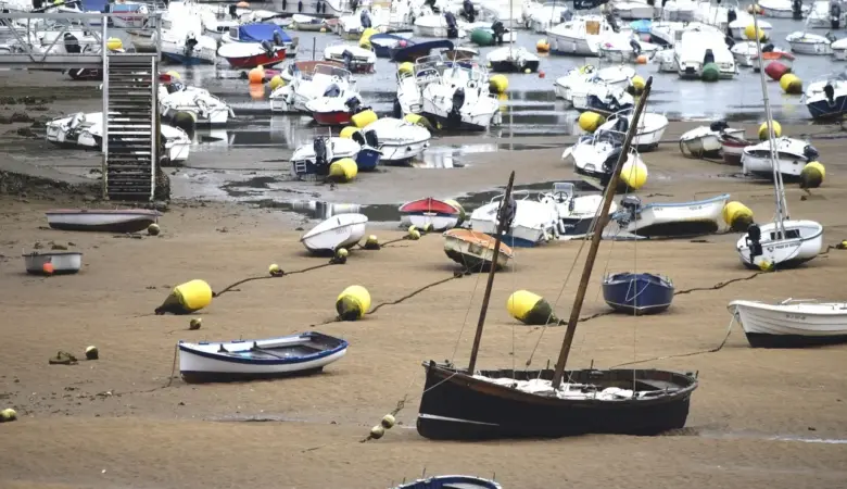 Bizkaia Aretoa: det bedste ved Álvaro Sizas bygning i Bilbao