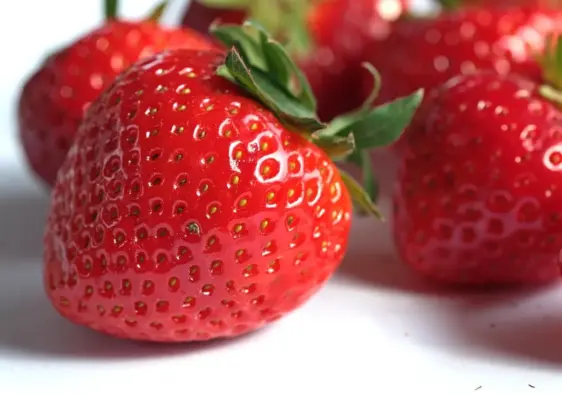 Hvor finder man veganske pintxos i Bilbao efter kl. 22?