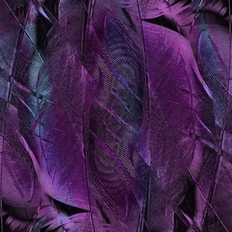 7 steder med offentlige toiletter i Bilbaos centrum