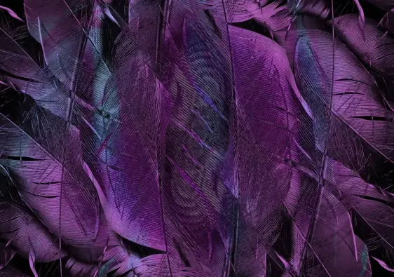 Kan EU-borgere få momsrefusion i Spanien?