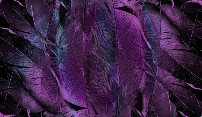 Kan EU-borgere få momsrefusion i Spanien?